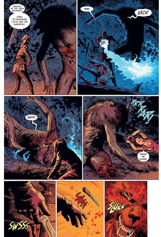 Zaklínač: Prokletí vran