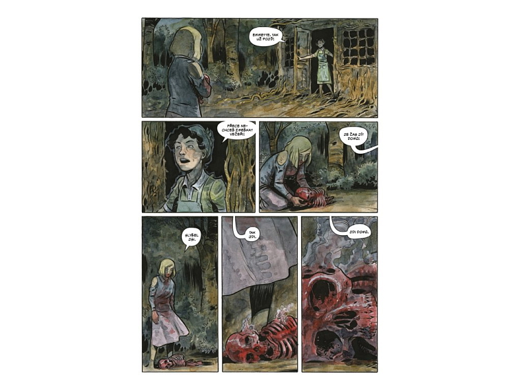 Pochmurný kraj 8 - Nenávratno