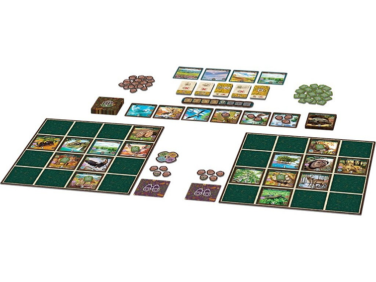 Divočina Severní Ameriky