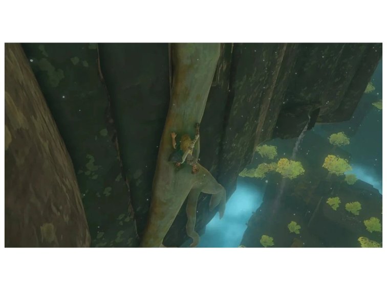 The Legend of Zelda: Tears of the Kingdom (Switch)