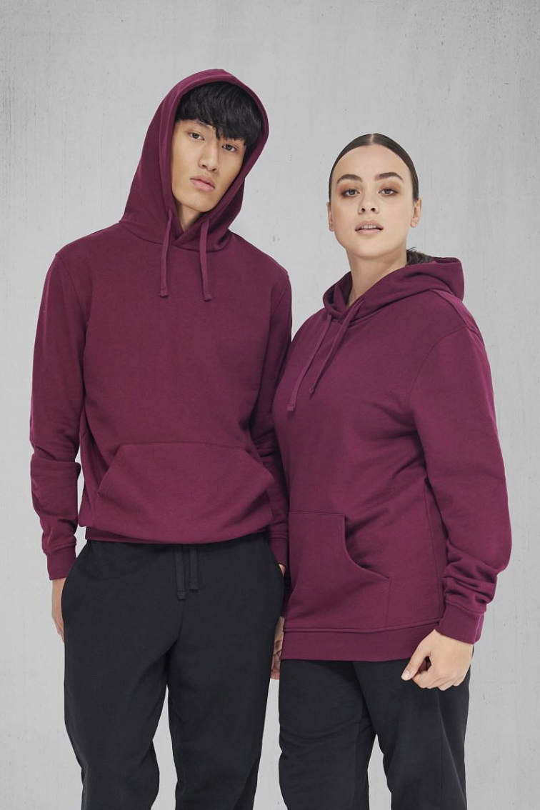 Unisex mikina s kapucí Hoodie ID.223