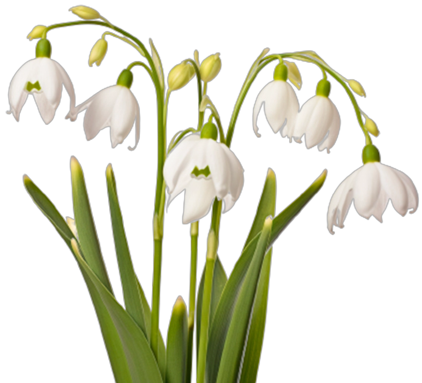 LONGEVITY Omlazující sérum