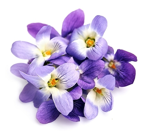 MANDARIN MUSK MINERAL NOTES Parfém vzorek