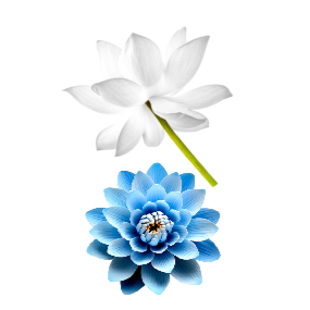 LONGEVITY Omlazující sérum