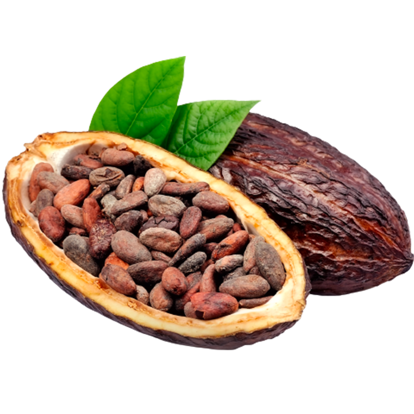 PLUM TOBACCO BLOSSOM TONKA BEAN Parfém vzorek