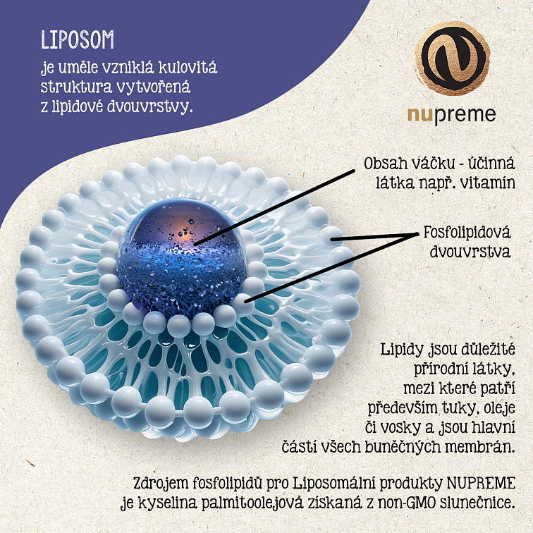 Liposomal Vit. B12 30 kapslí NUPREME