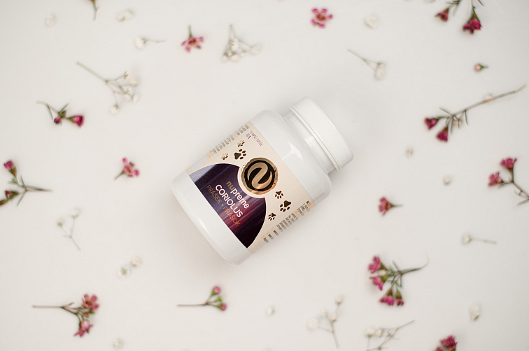 Coriolus BIOMASA 100 kapslí NUPREME