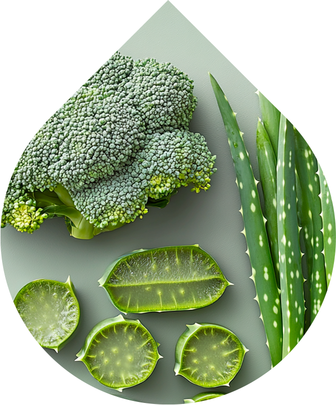 Čistiaca pena na tvár pre mužov LOBEY® Men s extraktmi z brokolice a aloe