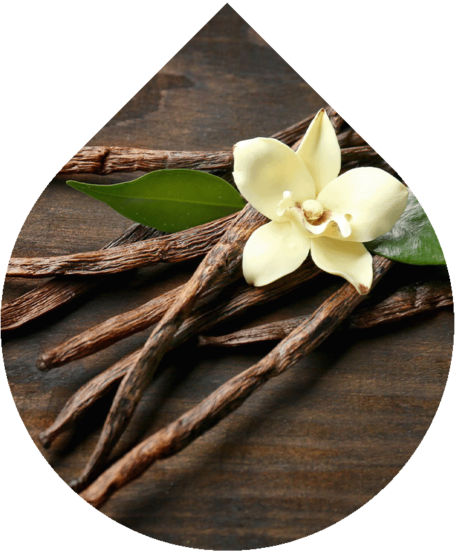Náhradní náplň Odličovací olej 100 ml + 5 ml GRATIS