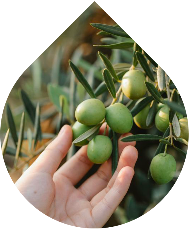 Tělový olej pro miminka 100 ml