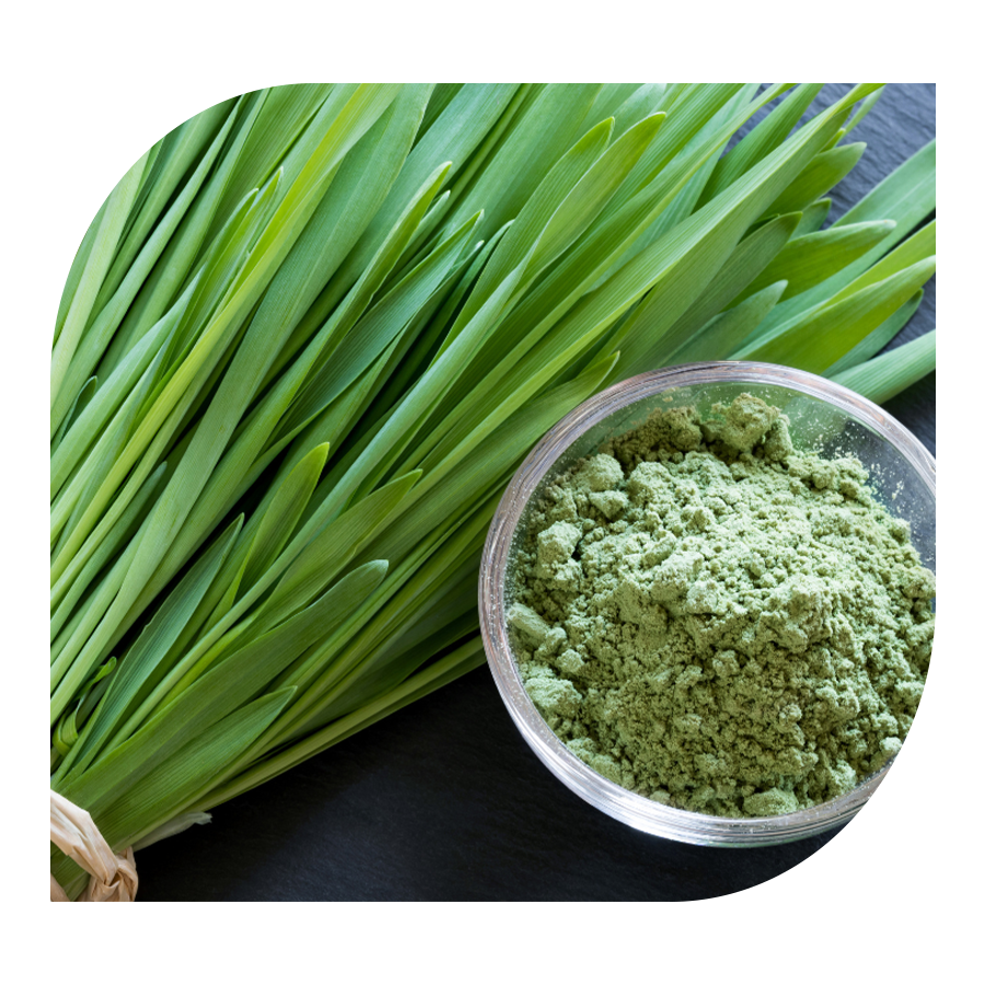 YOBELI GREENS 330 g