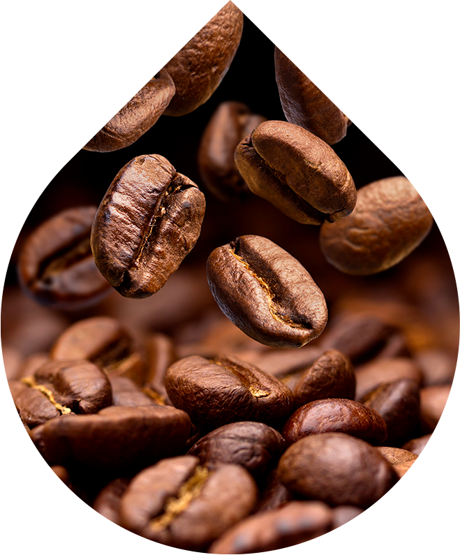 LOBEY Šampon proti padání vlasů pro muže s liposomálním kofeinem