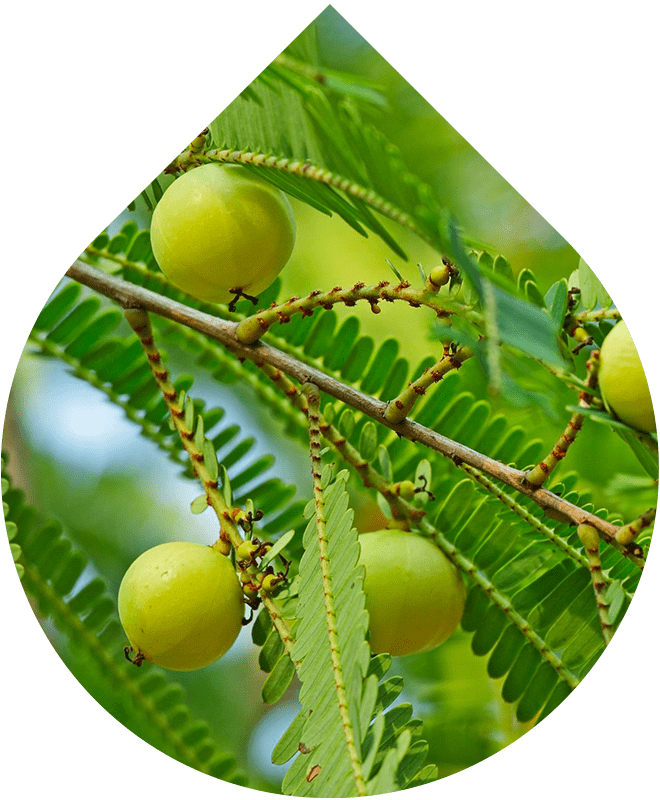 Náhradní náplň Kondicionér 200 ml + 20 ml GRATIS