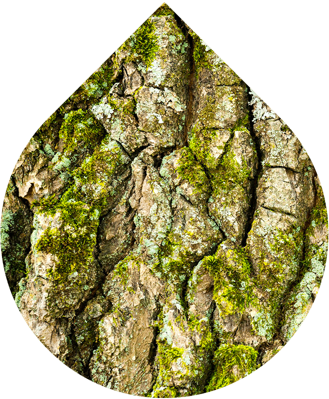 Intimní pěna pro ženy LOBEY® s extraktem z dubové kůry