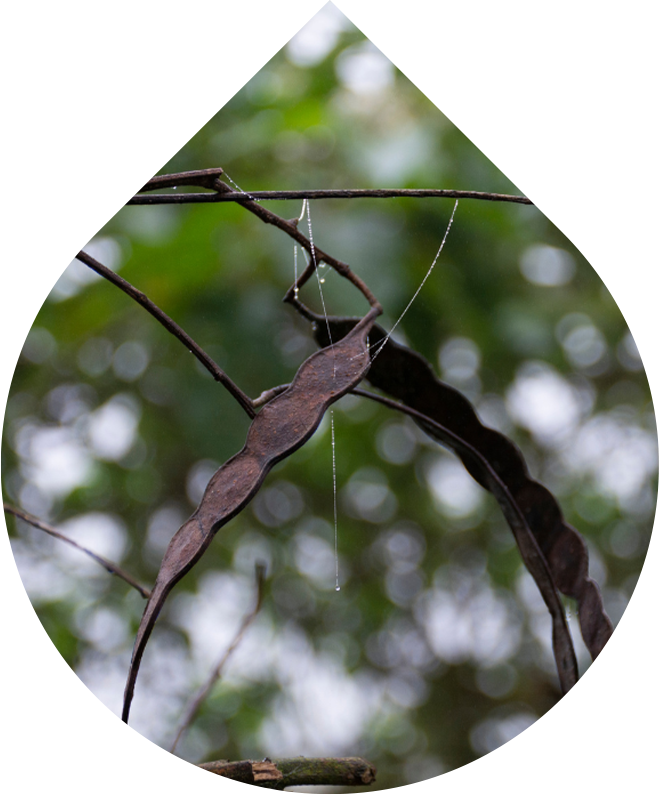 Odličovací gel Essential 100 ml