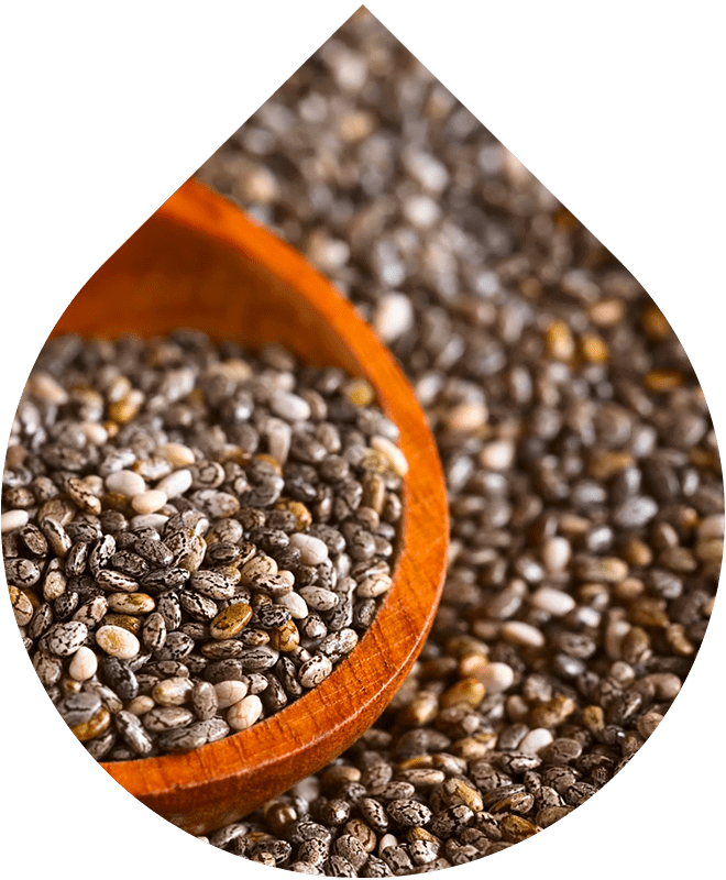 Olej na vlasy Intense 50 ml