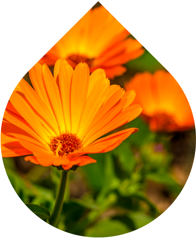 Olejová koupel pro miminka 150 ml