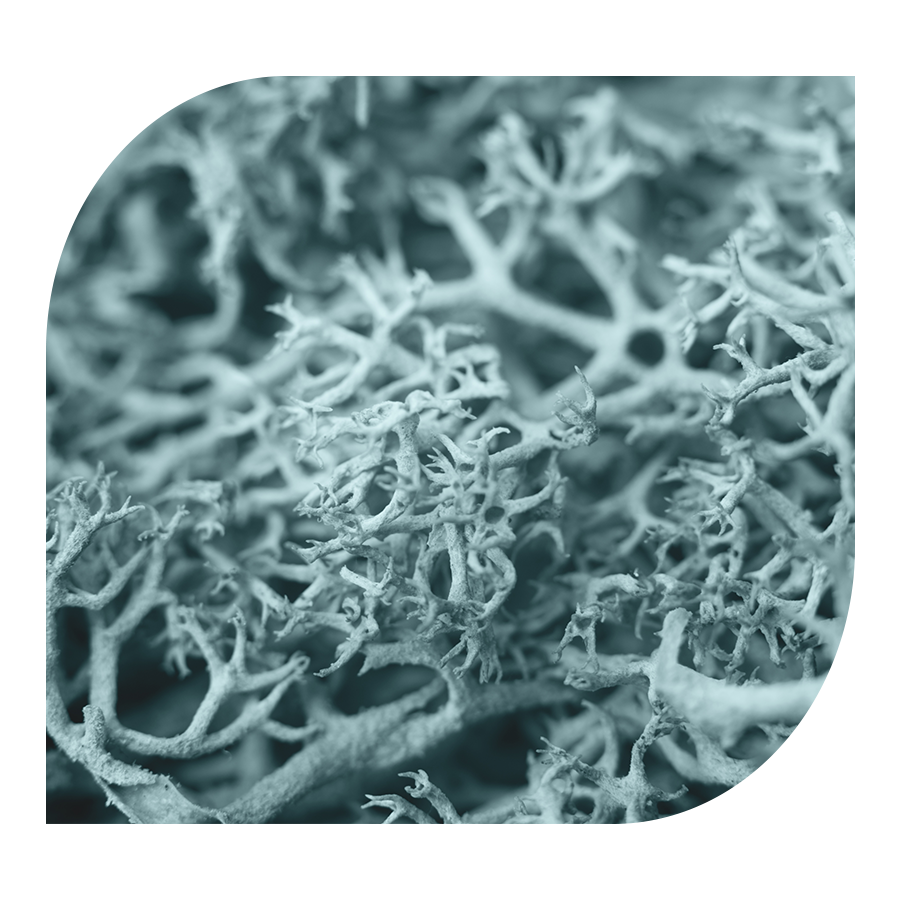 Komplex pro ženy Women's Vitality YOBELI | 60 kapslí