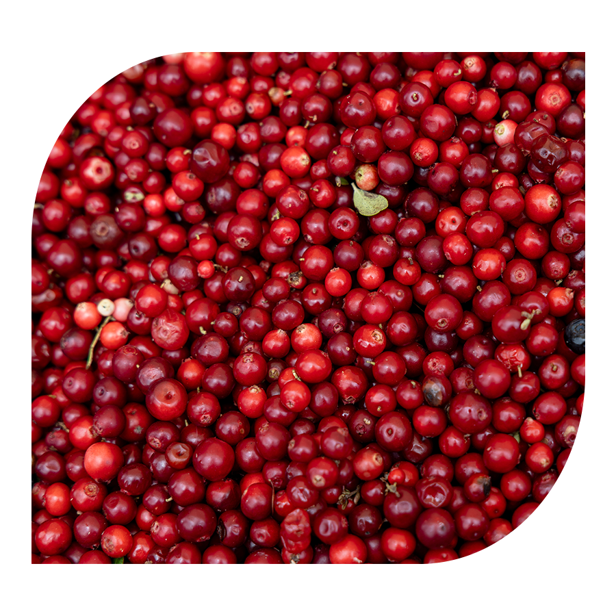 Komplex pro ženy Women's Vitality YOBELI | 60 kapslí