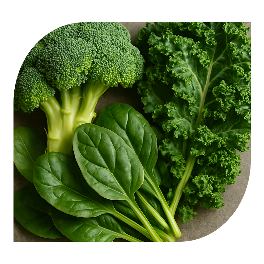 Železo + vitamíny C a B9 YOBELI | 60 kapslí