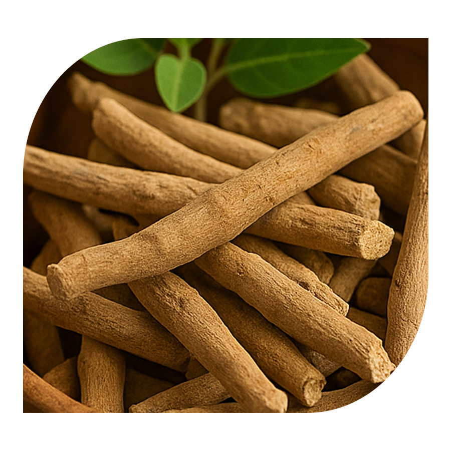 Komplex pro muže Men's Vitality YOBELI | 60 kapslí