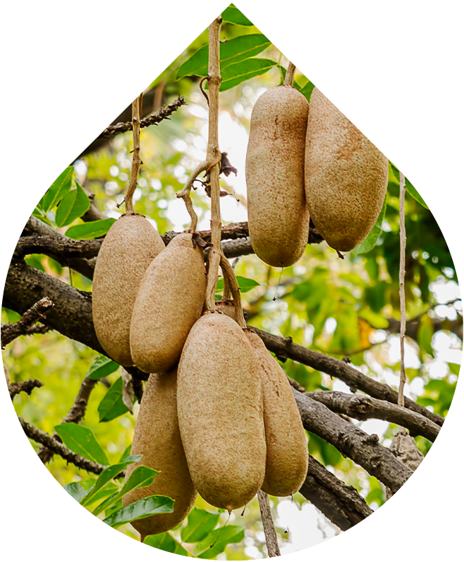 Noční vyhlazující sérum 50 ml