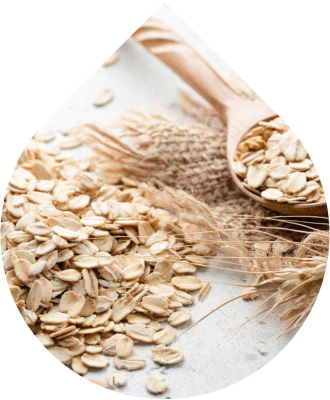 Krém na nohy regenerační 75 ml