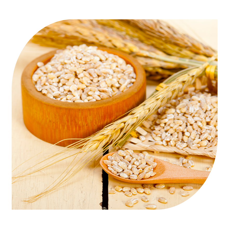 Immunity YOBELI 60 kapslí