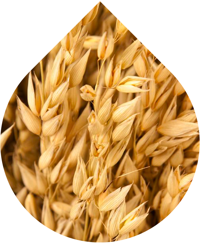 Tělový olej pro miminka 100 ml