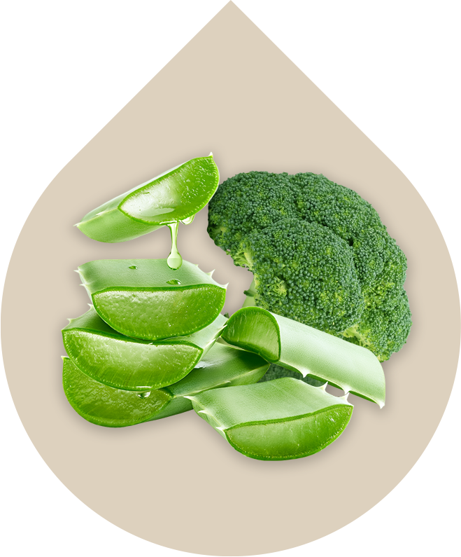 Komplex bioflavonoidů a extraktů z aloe a brokolice