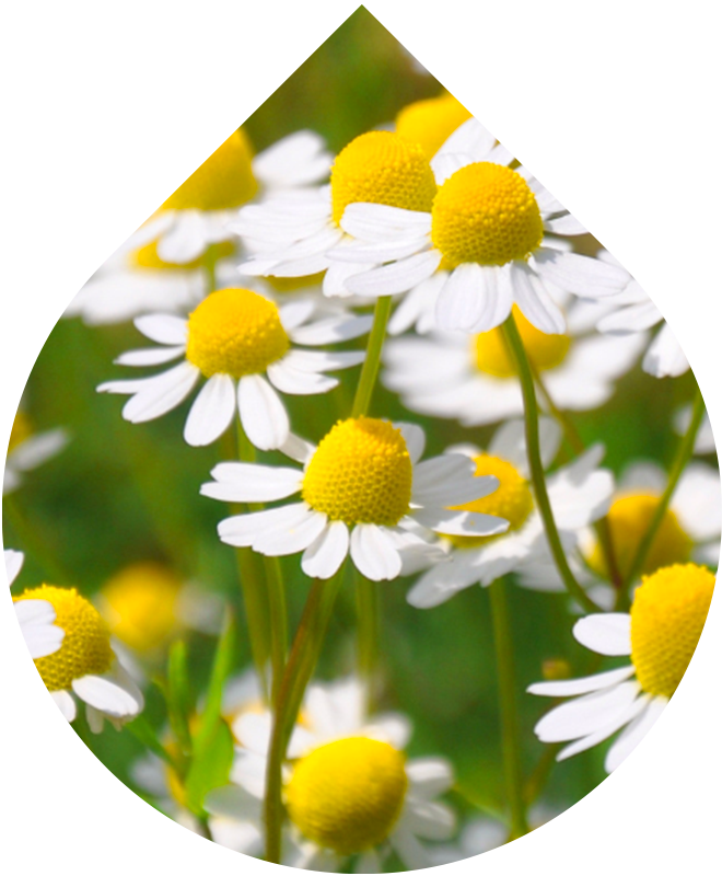 Náhradní náplň Tělové mléko pro miminka 200 ml + 20 ml GRATIS