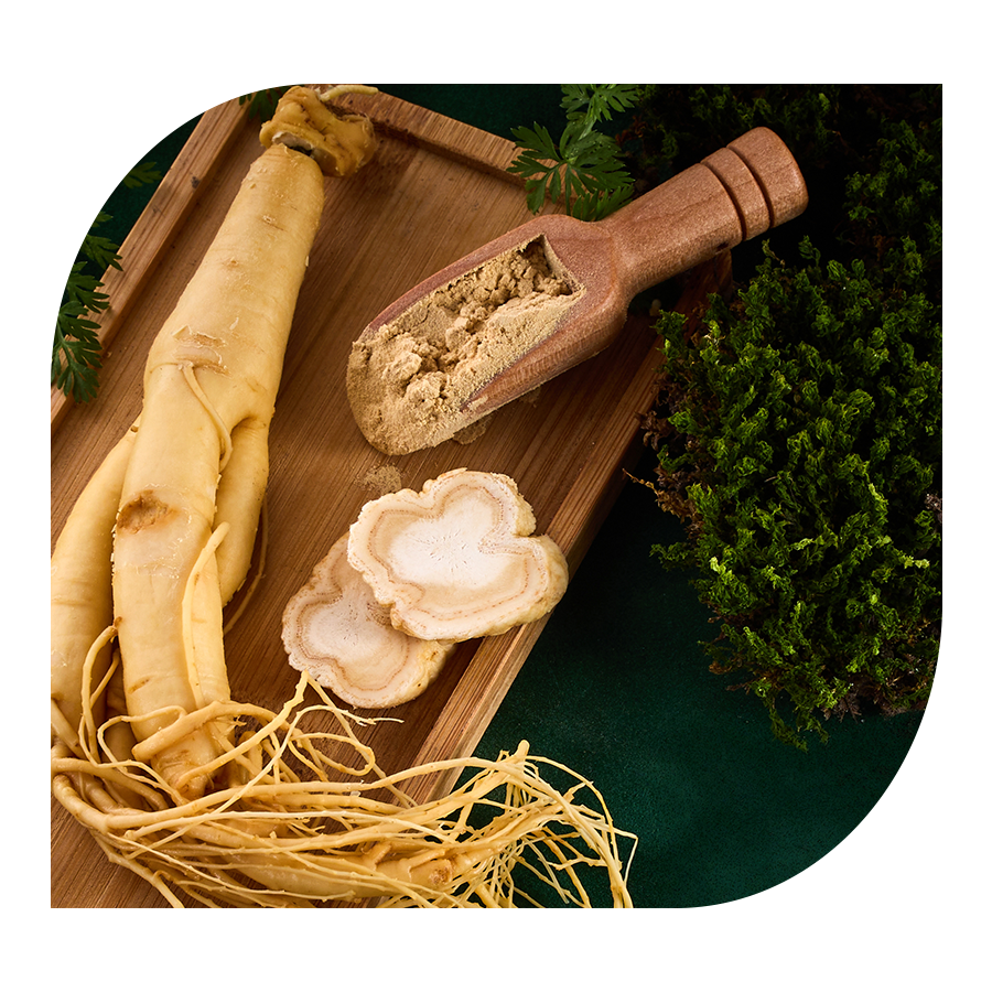 Korejský ženšen YOBELI | 60 kapslí