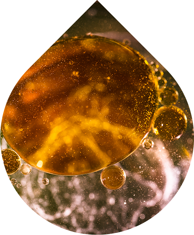 Anti-age sérum pro muže LOBEY® Men s bakteriálním fermentem