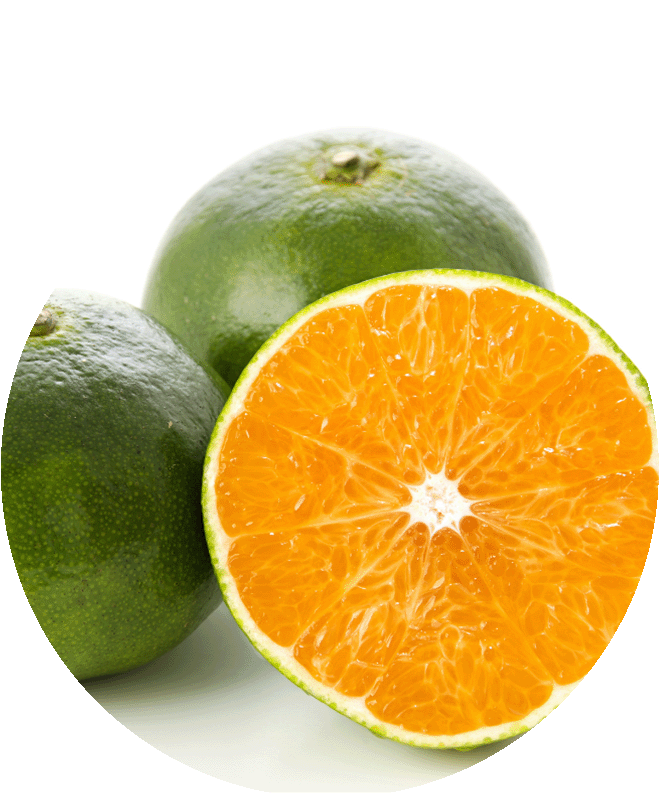 Odličovač očí Essential 100 ml