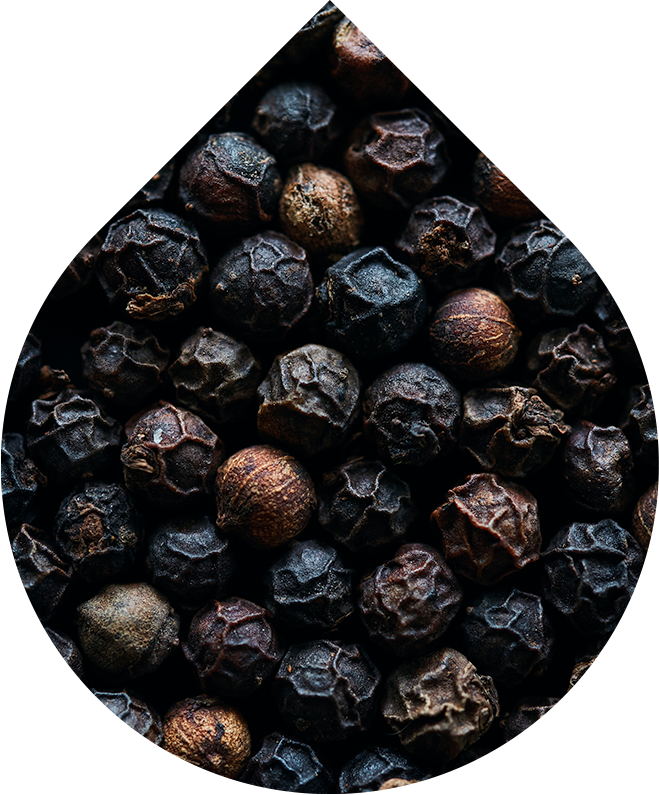 Pleťový krém pre mužov LOBEY® Men s tasmánskym korením