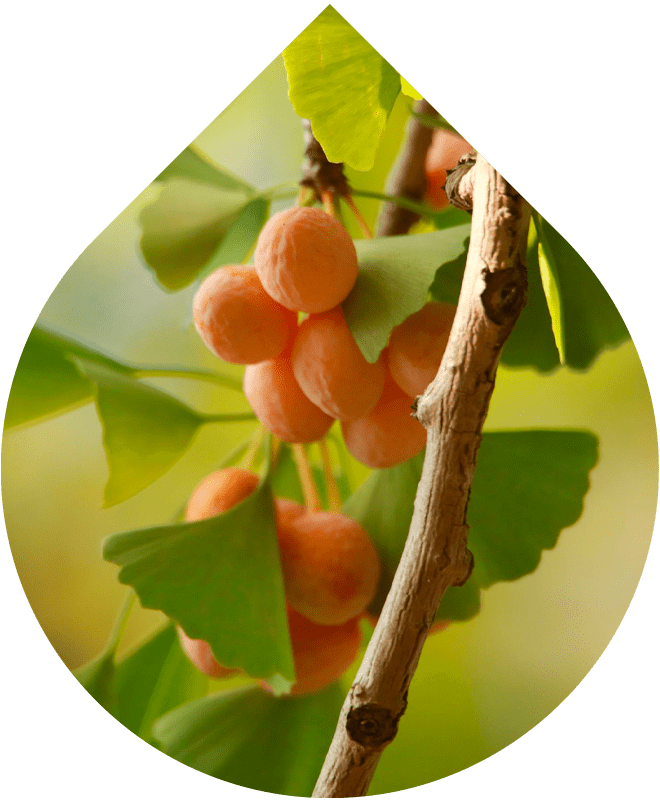 Náhradní náplň Obličejová mycí pěna 150 ml + 30 ml GRATIS REFORMULACE