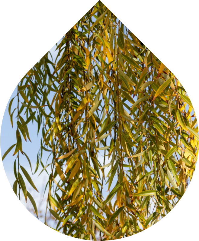 Náhradní náplň Krém na akné a problematickou pleť 50 ml + 10 ml GRATIS