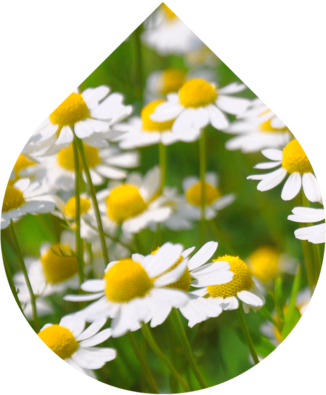 Obličejová mycí pěna 150 ml