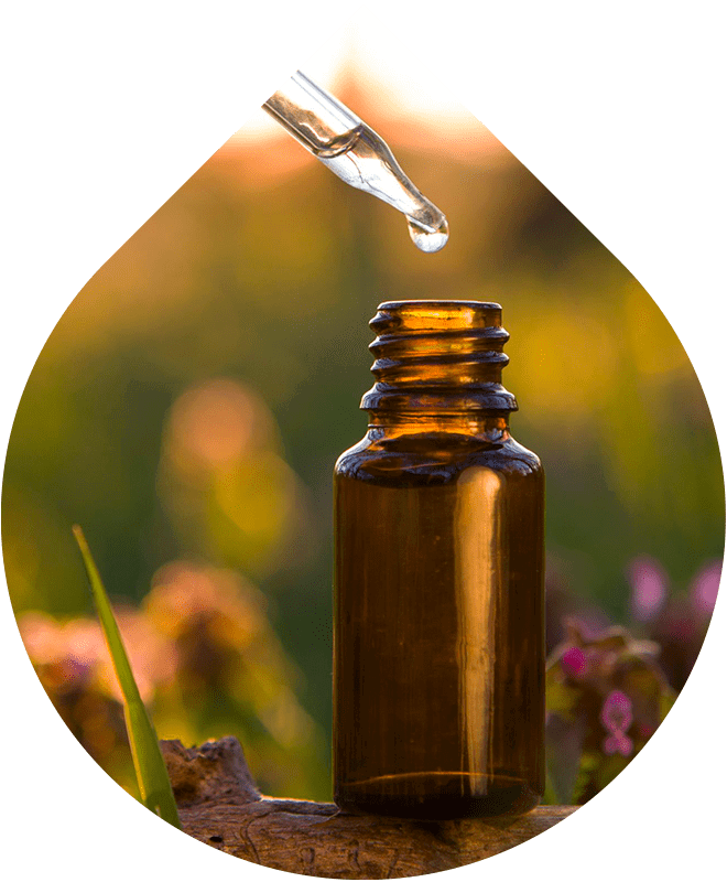 Náhradní náplň Šampon na mastné vlasy 200 ml + 20 ml GRATIS