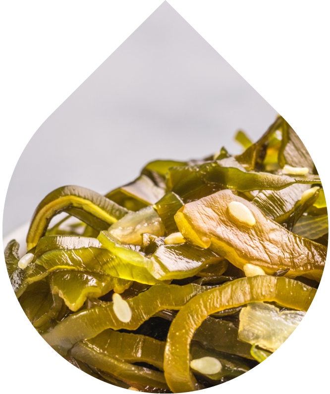 Odličovací mléko s extraktem ze šruchy zelné