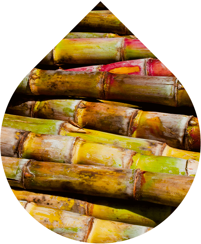 Náhradní náplň Lokální sérum na pigmentové skvrny 15 ml + 5 ml GRATIS