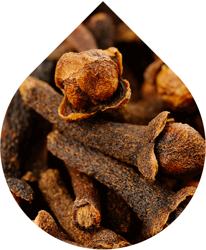 Lokální sérum na akné s okamžitým účinkem 15 ml