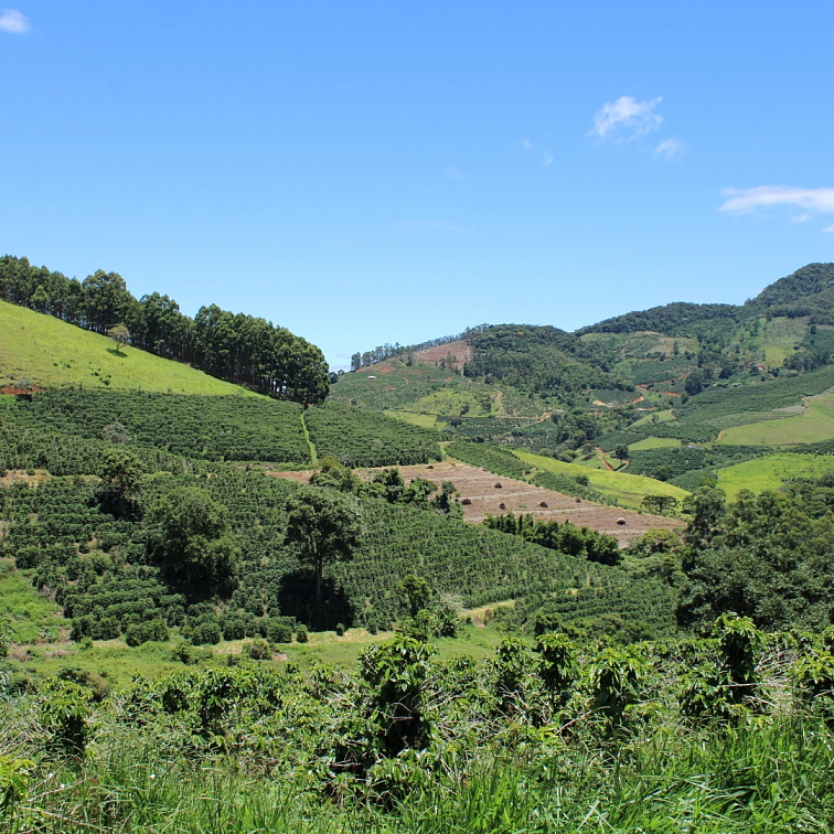 Brasil Fazenda - Tmavě pražená 100% Arabica