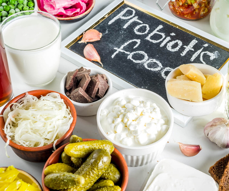 probiotika