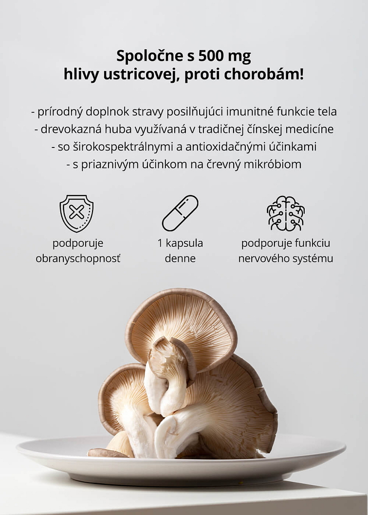 VENIRA hliva ustricová