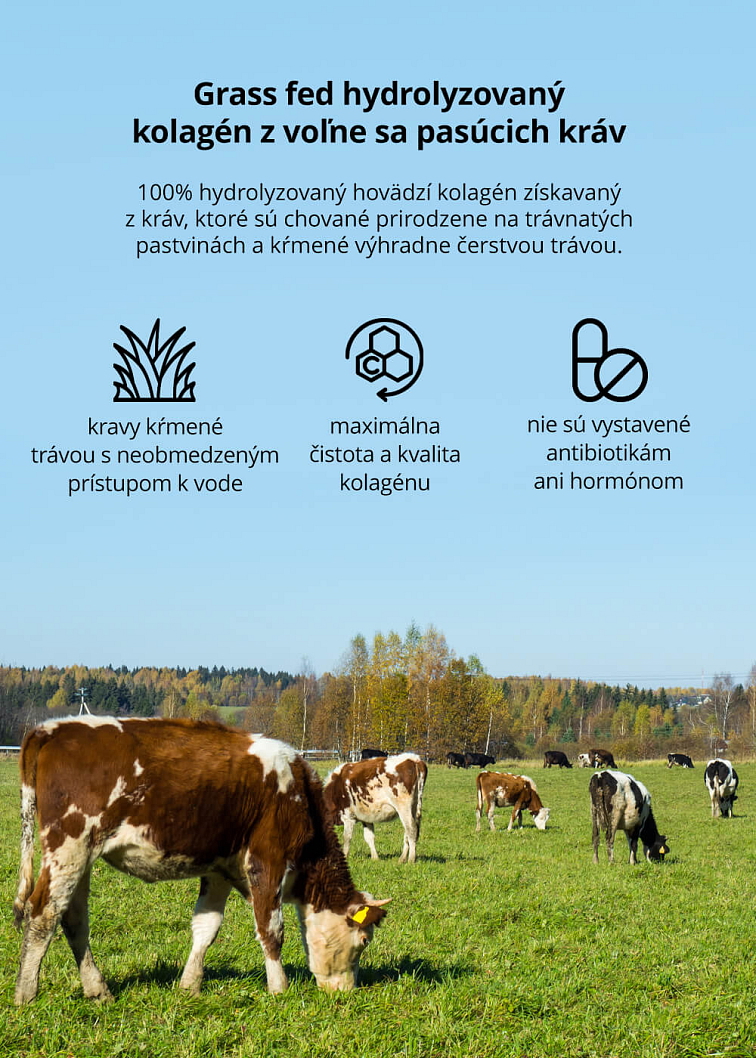 VENIRA hydrolyzovaný kolagén, grass fed