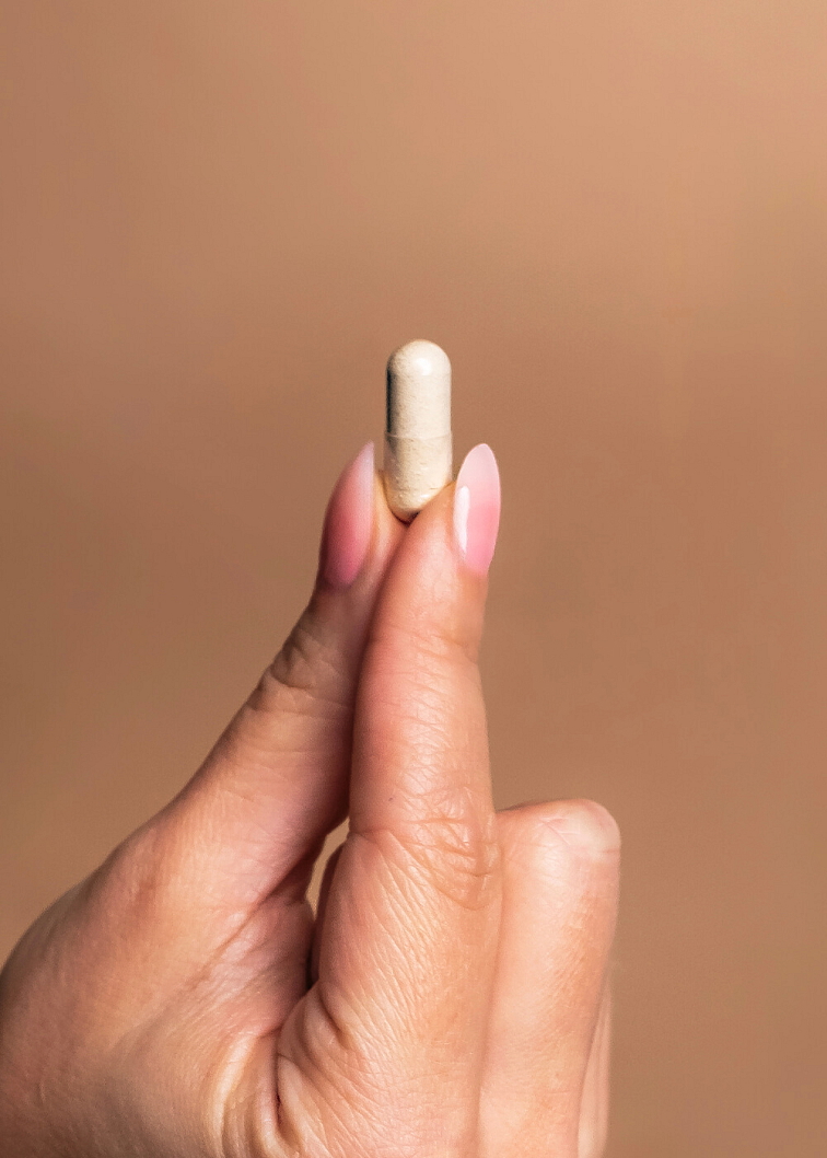 VENIRA hliva ustricová