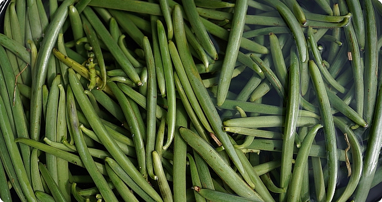Zelené vanilkové lusky