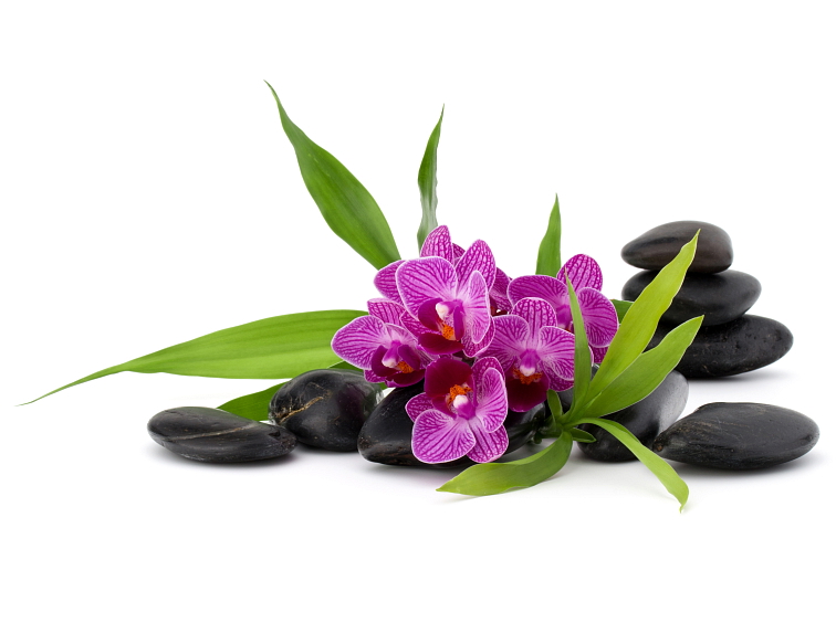 Aroma vůně pro vířivky Spazazz Crystals Flora wood (482g)