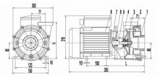 LX Vodní čerpadlo pro vířivky LP300 3,0HP (1-Speed) - BC-LXLP300
